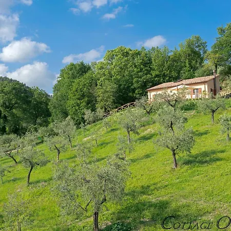 Cuore Ovile Spello